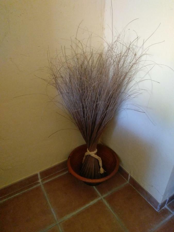Casa Rural Celtia Aguilar del Río Alhama 外观 照片
